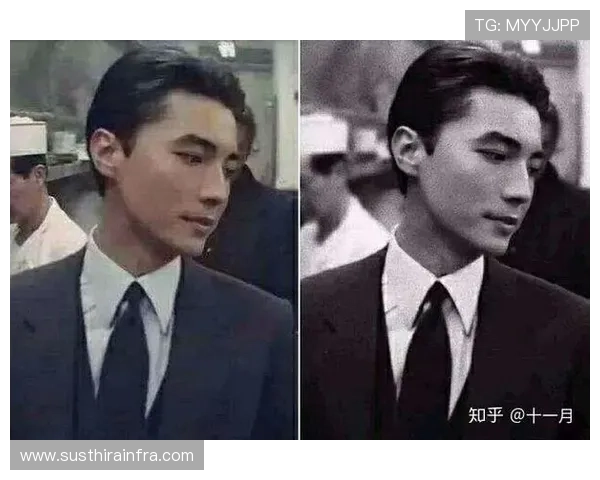 尊龙网站注册网用户分享，真实体验让您了解更多选择